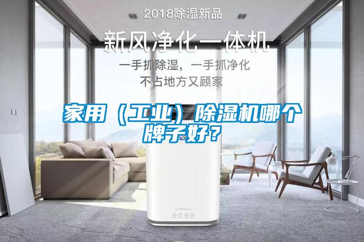 家用（工業(yè)）除濕機(jī)哪個(gè)牌子好？