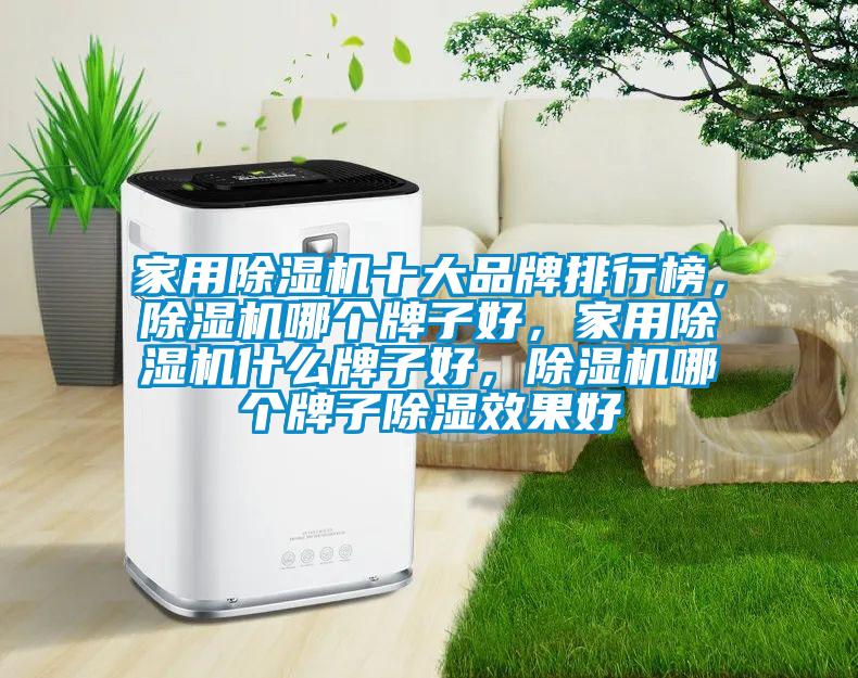 家用除濕機十大品牌排行榜，除濕機哪個牌子好，家用除濕機什么牌子好，除濕機哪個牌子除濕效果好
