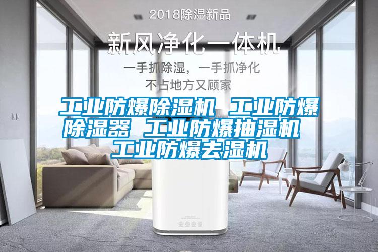 工業防爆除濕機 工業防爆除濕器 工業防爆抽濕機 工業防爆去濕機