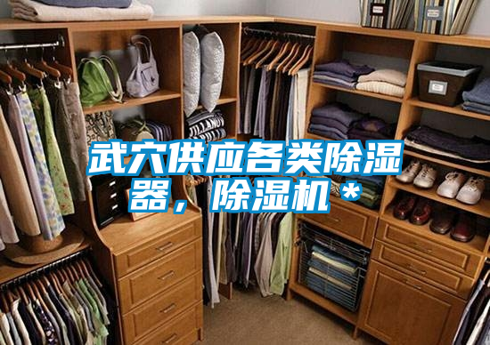 武穴供應各類除濕器，除濕機＊