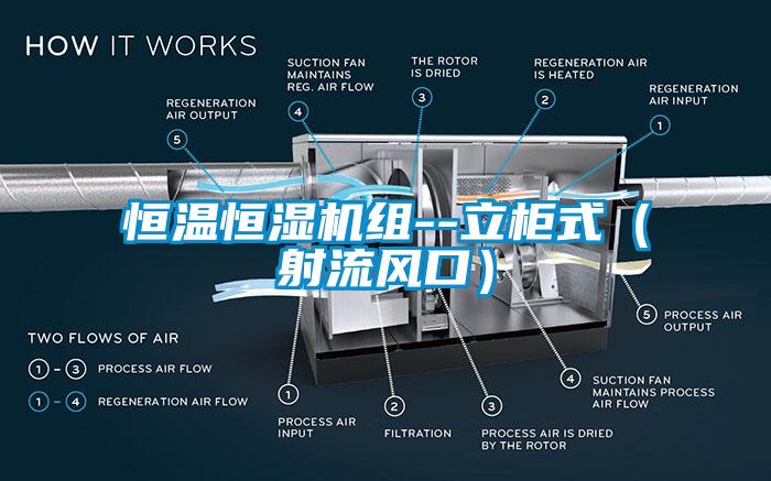 恒溫恒濕機(jī)組--立柜式（射流風(fēng)口）