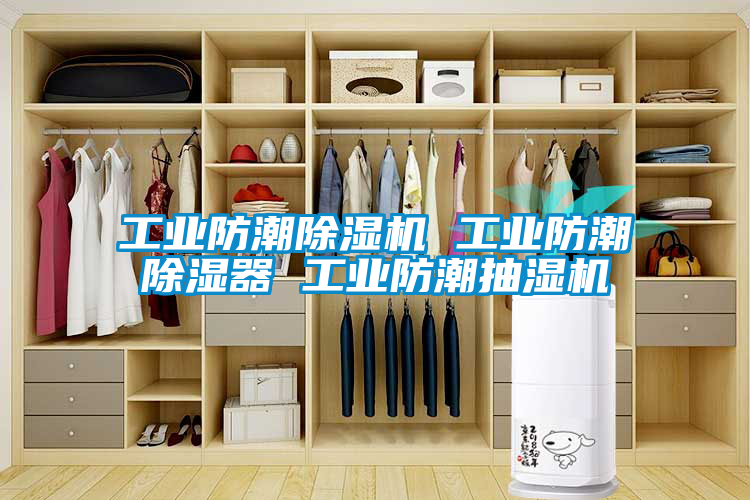 工業防潮除濕機 工業防潮除濕器 工業防潮抽濕機