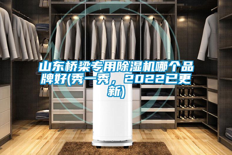 山東橋梁專用除濕機哪個品牌好(秀一秀，2022已更新)
