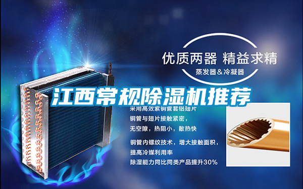 江西常規(guī)除濕機(jī)推薦