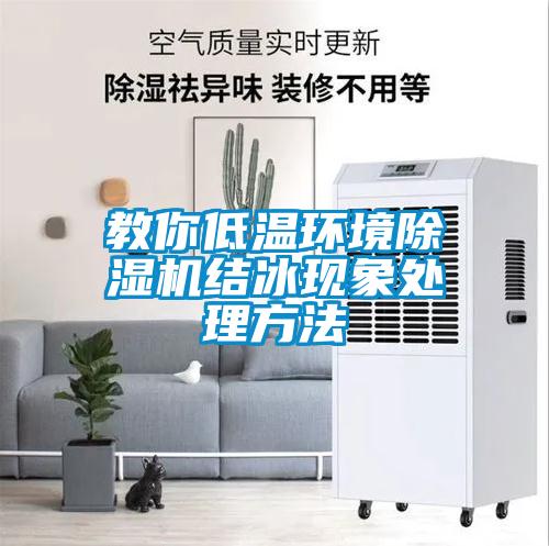 教你低溫環境除濕機結冰現象處理方法