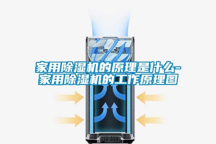 家用除濕機(jī)的原理是什么-家用除濕機(jī)的工作原理圖