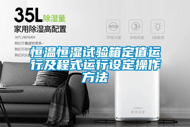 恒溫恒濕試驗(yàn)箱定值運(yùn)行及程式運(yùn)行設(shè)定操作方法
