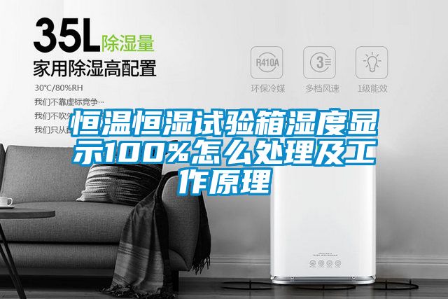 恒溫恒濕試驗(yàn)箱濕度顯示100%怎么處理及工作原理