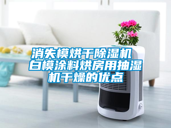 消失模烘干除濕機 白模涂料烘房用抽濕機干燥的優點