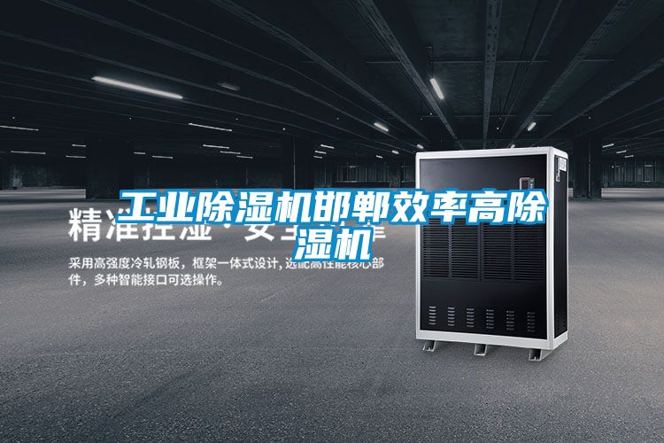 工業(yè)除濕機(jī)邯鄲效率高除濕機(jī)