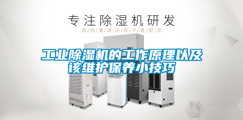 工業除濕機的工作原理以及該維護保養小技巧