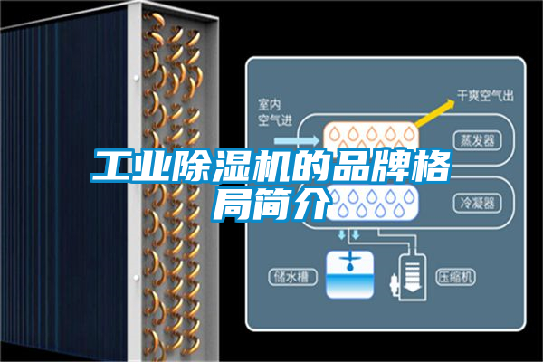 工業(yè)除濕機的品牌格局簡介