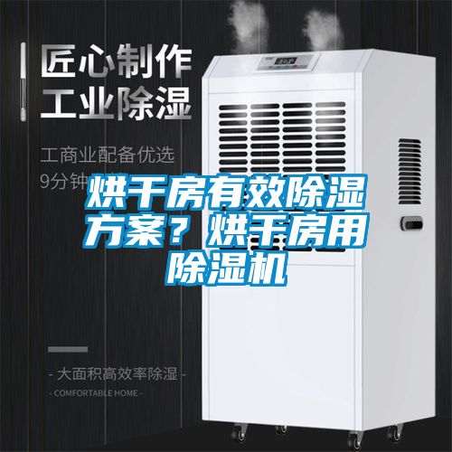 烘干房有效除濕方案？烘干房用除濕機(jī)