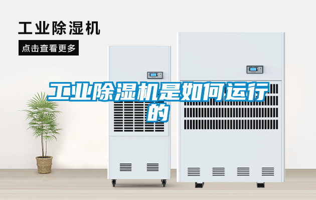 工業除濕機是如何運行的