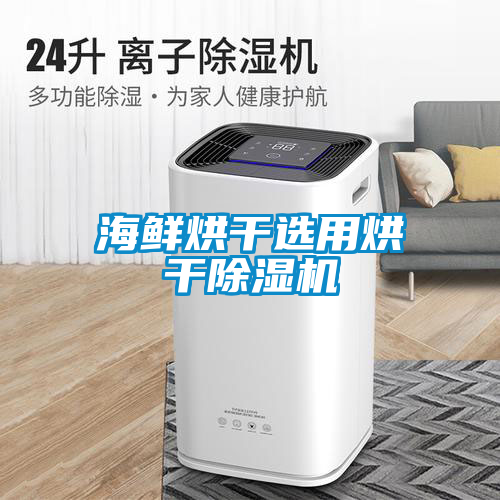 海鮮烘干選用烘干除濕機(jī)
