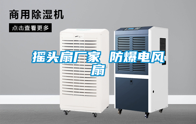 搖頭扇廠家 防爆電風(fēng)扇
