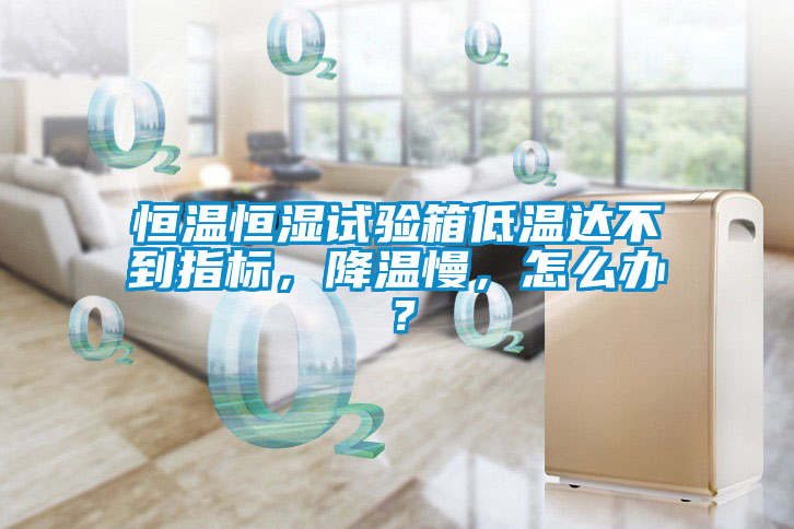 恒溫恒濕試驗(yàn)箱低溫達(dá)不到指標(biāo)，降溫慢，怎么辦？