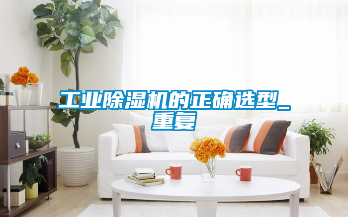 工業(yè)除濕機的正確選型_重復