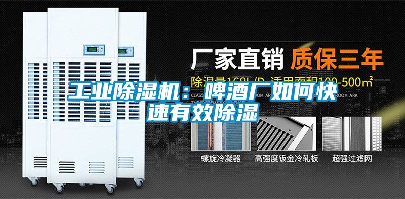 工業除濕機：啤酒廠如何快速有效除濕