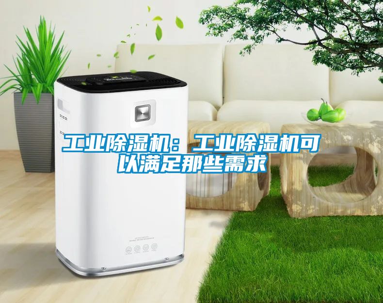 工業(yè)除濕機(jī)：工業(yè)除濕機(jī)可以滿足那些需求