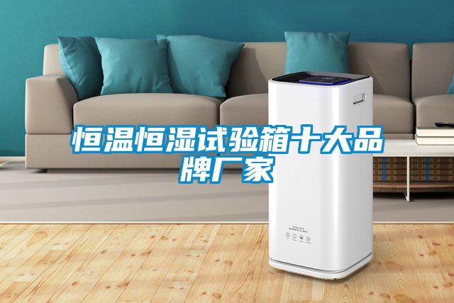 恒溫恒濕試驗(yàn)箱十大品牌廠家