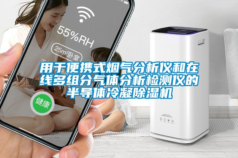 用于便攜式煙氣分析儀和在線多組分氣體分析檢測(cè)儀的半導(dǎo)體冷凝除濕機(jī)