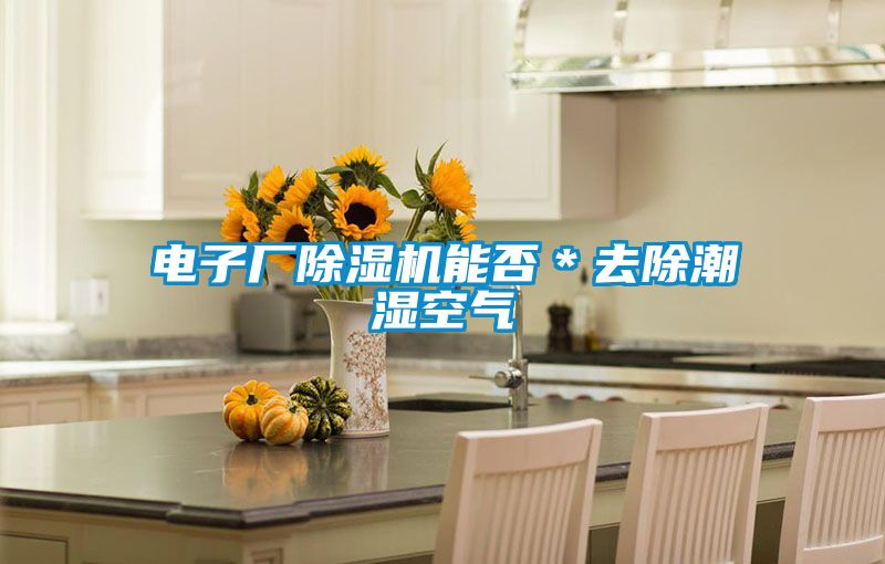 電子廠除濕機(jī)能否＊去除潮濕空氣