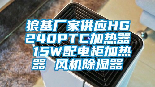 狼基廠家供應(yīng)HG240PTC加熱器 15W配電柜加熱器 風(fēng)機(jī)除濕器