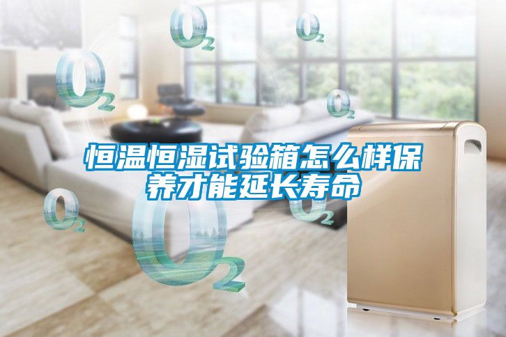 恒溫恒濕試驗(yàn)箱怎么樣保養(yǎng)才能延長(zhǎng)壽命