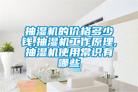 抽濕機的價格多少錢,抽濕機工作原理,抽濕機使用常識有哪些