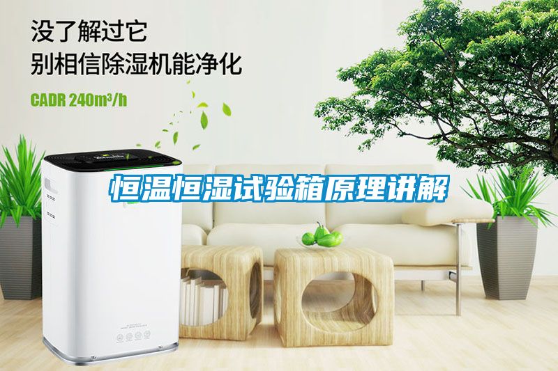 恒溫恒濕試驗(yàn)箱原理講解