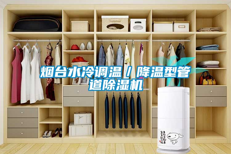 煙臺水冷調(diào)溫／降溫型管道除濕機