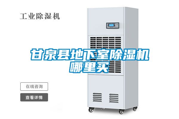 甘泉縣地下室除濕機(jī)哪里買