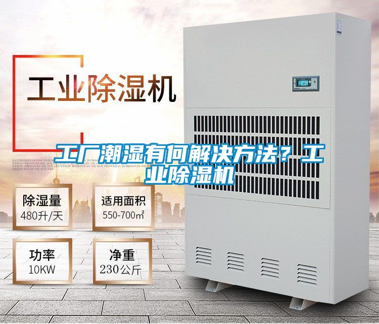 工廠潮濕有何解決方法？工業除濕機