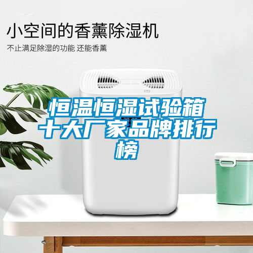 恒溫恒濕試驗箱十大廠家品牌排行榜