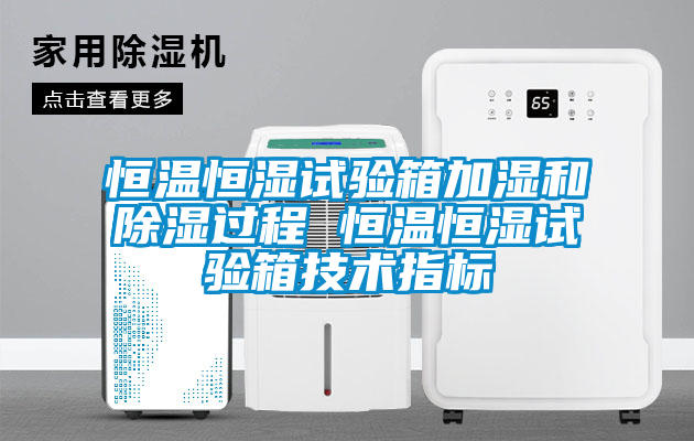 恒溫恒濕試驗箱加濕和除濕過程 恒溫恒濕試驗箱技術指標