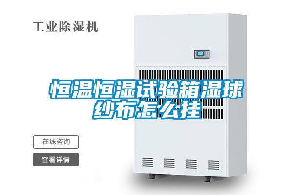 恒溫恒濕試驗(yàn)箱濕球紗布怎么掛