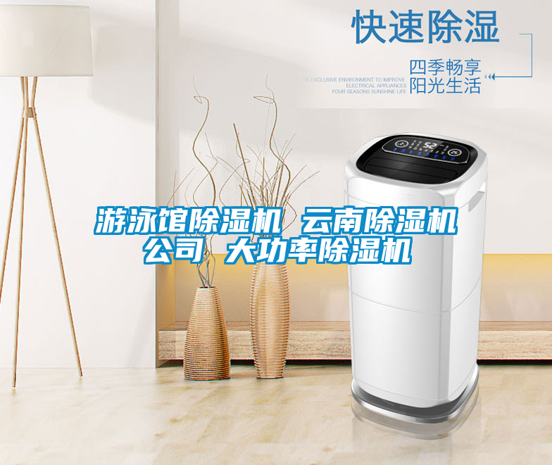 游泳館除濕機 云南除濕機公司 大功率除濕機