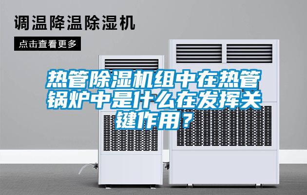 熱管除濕機(jī)組中在熱管鍋爐中是什么在發(fā)揮關(guān)鍵作用？