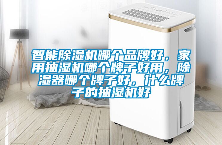 智能除濕機哪個品牌好，家用抽濕機哪個牌子好用，除濕器哪個牌子好，什么牌子的抽濕機好