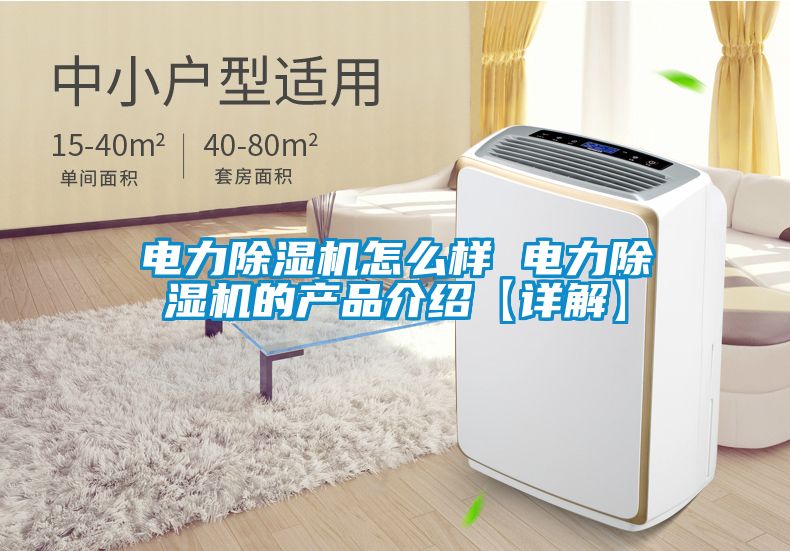 電力除濕機怎么樣 電力除濕機的產品介紹【詳解】
