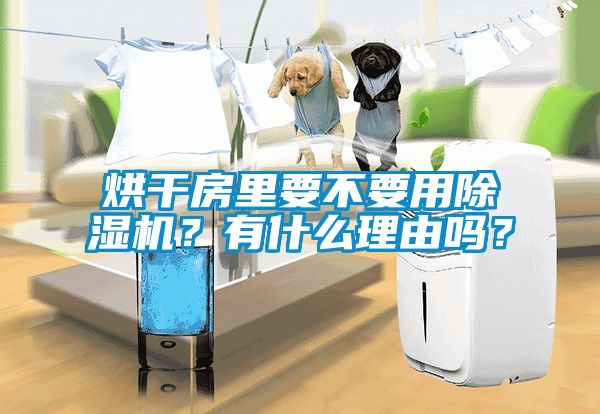 烘干房里要不要用除濕機？有什么理由嗎？