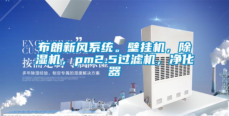 布朗新風系統。壁掛機，除濕機，pm2.5過濾機，凈化器