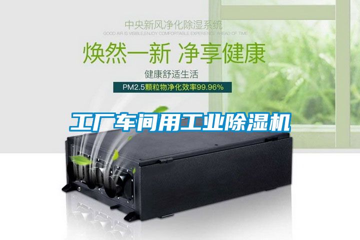 工廠車間用工業除濕機
