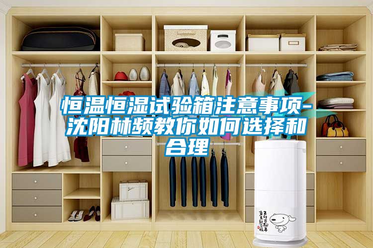 恒溫恒濕試驗(yàn)箱注意事項(xiàng)-沈陽林頻教你如何選擇和合理
