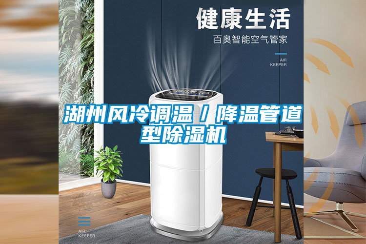 湖州風冷調溫／降溫管道型除濕機