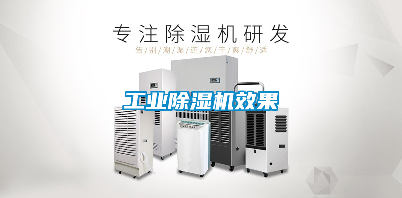 工業除濕機效果