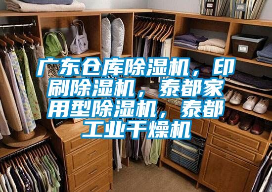 廣東倉庫除濕機，印刷除濕機，泰都家用型除濕機，泰都工業(yè)干燥機