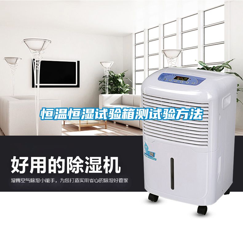 恒溫恒濕試驗(yàn)箱測(cè)試驗(yàn)方法
