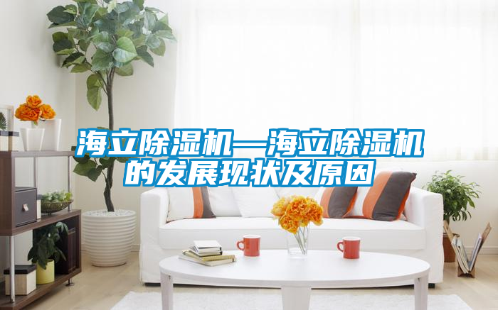 海立除濕機—海立除濕機的發展現狀及原因